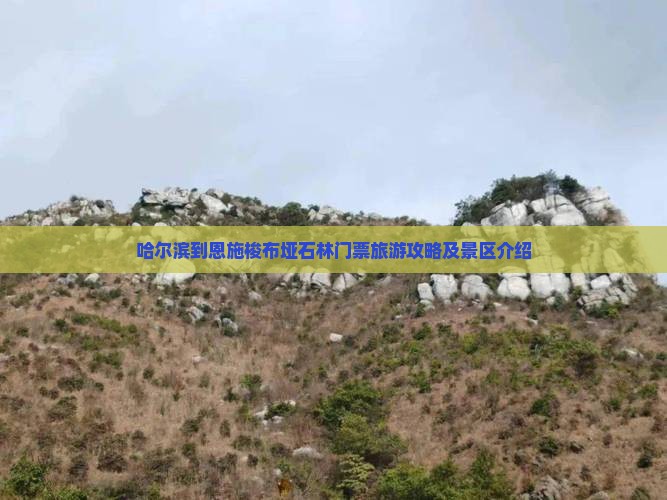 哈尔滨到恩施梭布垭石林门票