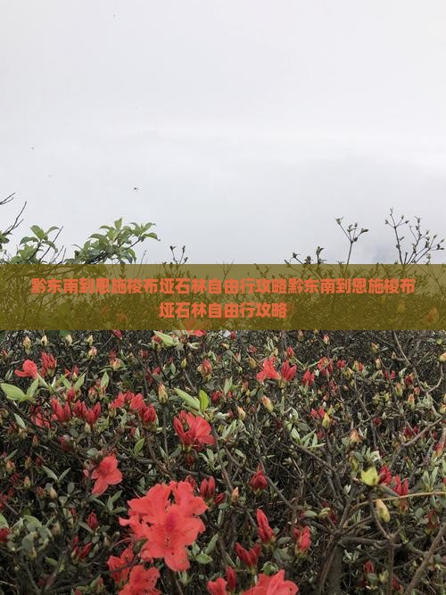 黔东南到恩施梭布垭石林自由行