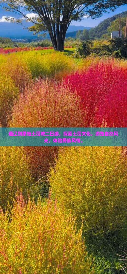 通辽到恩施土司城二日游