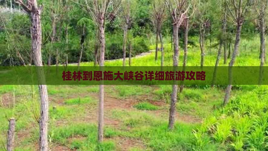 桂林到恩施大峡谷攻略