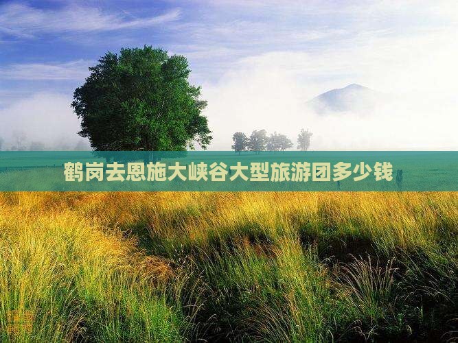 鹤岗去恩施大峡谷大型旅游团