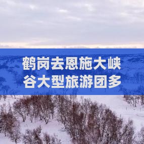 鹤岗去恩施大峡谷大型旅游团