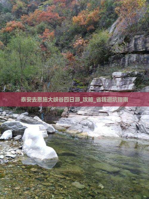 泰安去恩施大峡谷四日游