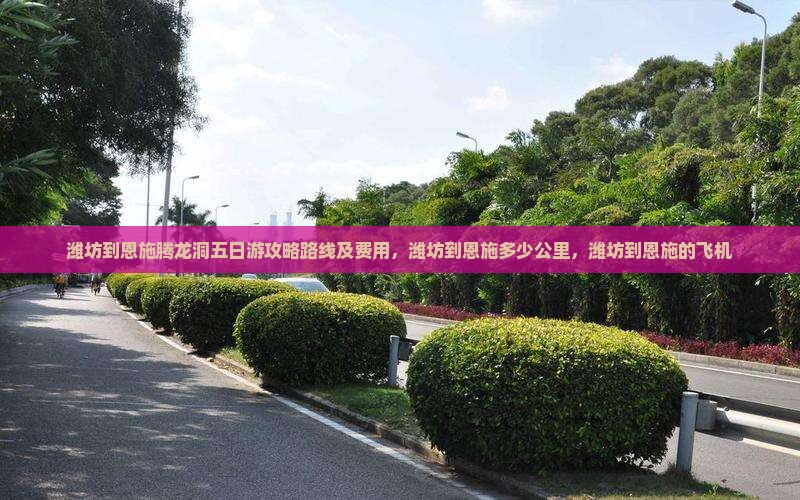 潍坊到恩施腾龙洞五日游