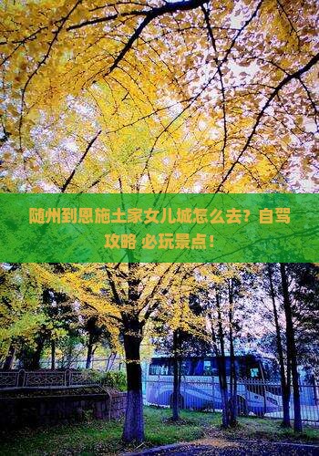 随州到恩施土家女儿城景点