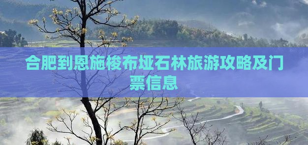 合肥到恩施梭布垭石林门票