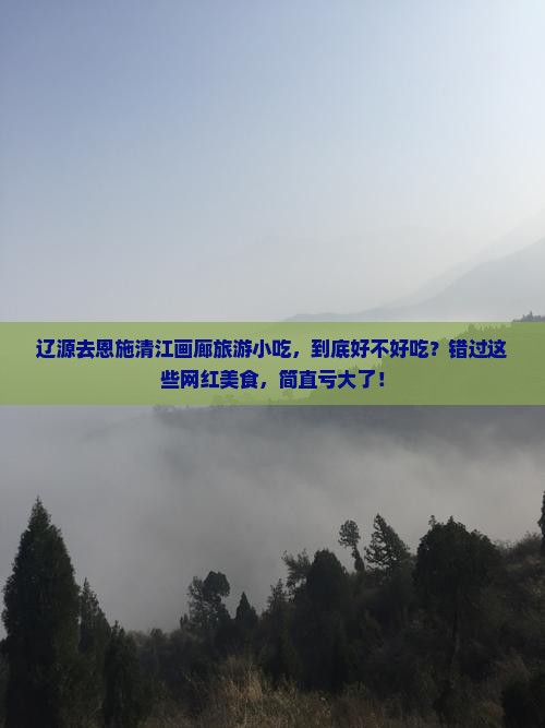 辽源去恩施清江画廊旅游小吃