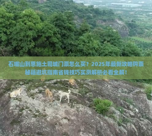 石嘴山到恩施土司城门票