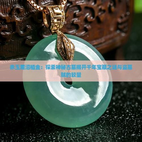 赤玉鹿沼植金：探索神秘古墓揭开千年宝藏之谜与盗墓贼的较量