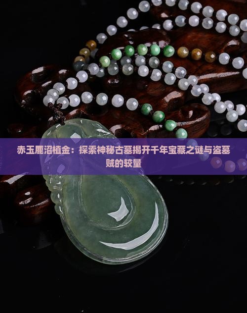 赤玉鹿沼植金：探索神秘古墓揭开千年宝藏之谜与盗墓贼的较量