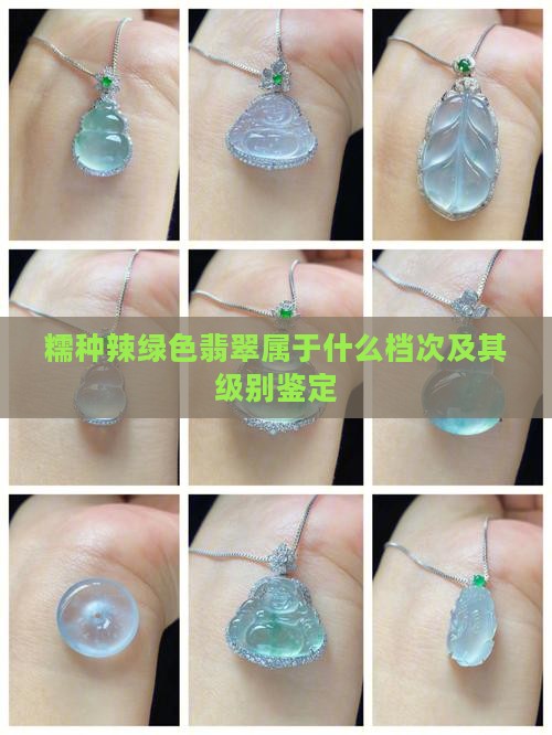 糯种辣绿色翡翠属于什么档次及其级别鉴定