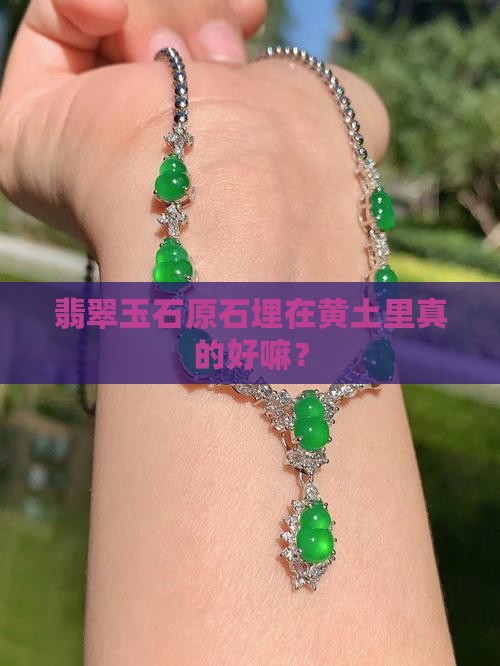 翡翠玉石原石埋在黄土里真的好嘛？