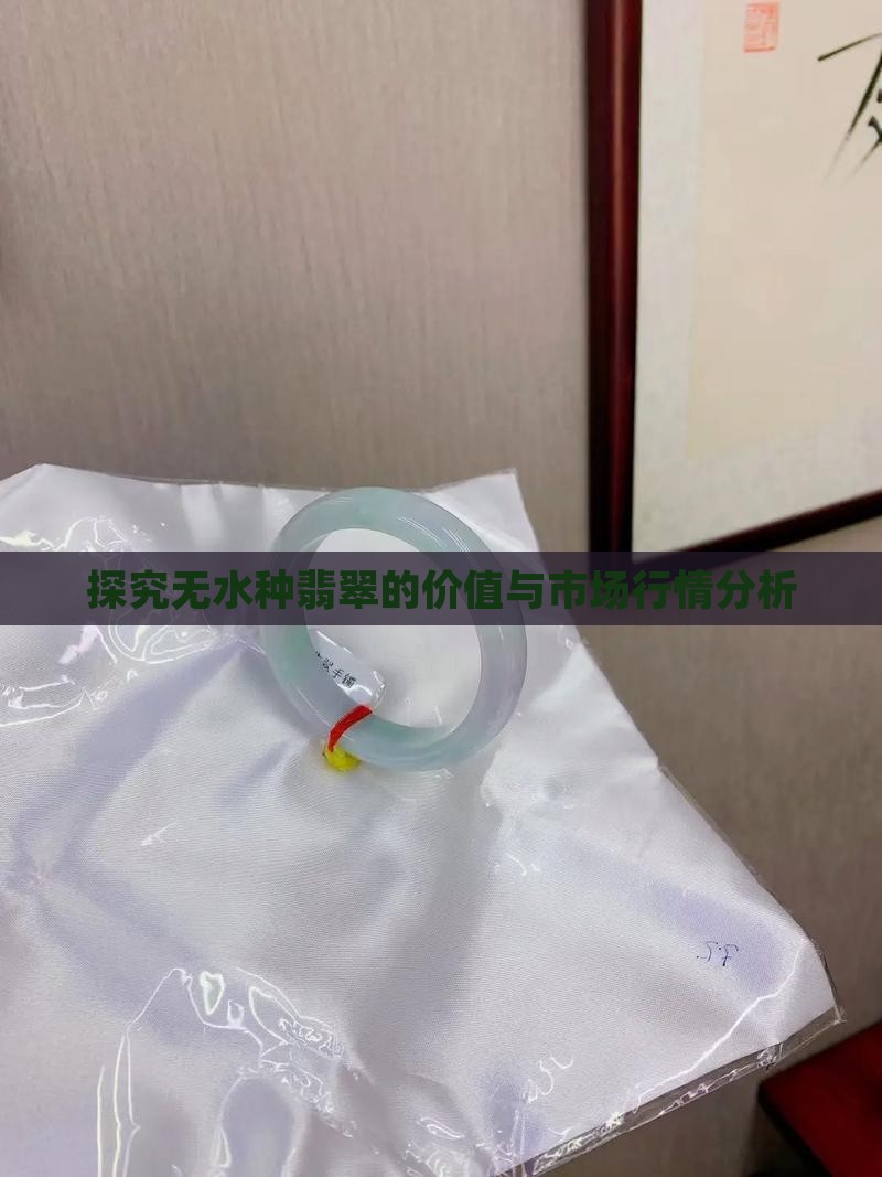 探究无水种翡翠的价值与市场行情分析