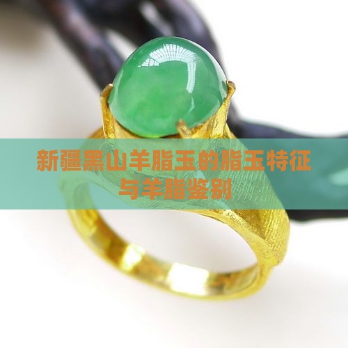 新疆黑山羊脂玉的脂玉特征与羊脂鉴别