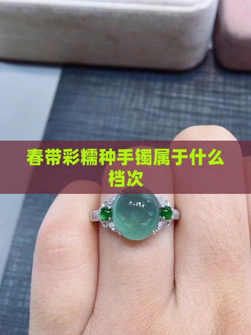 春带彩糯种手镯属于什么档次