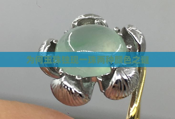 为何玉珠独现一珠两种颜色之谜