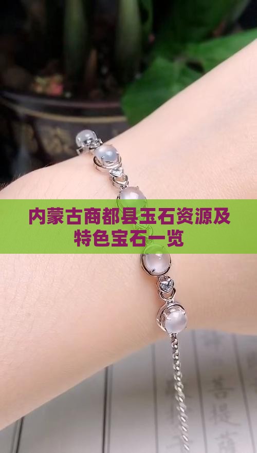 内蒙古商都县玉石资源及特色宝石一览
