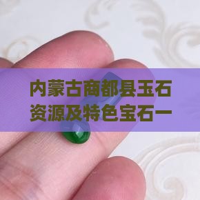 内蒙古商都县玉石资源及特色宝石一览