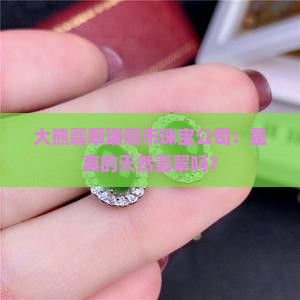 大熊翡翠瑞丽市珠宝公司：是真的天然翡翠吗？