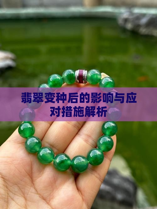 翡翠变种后的影响与应对措施解析