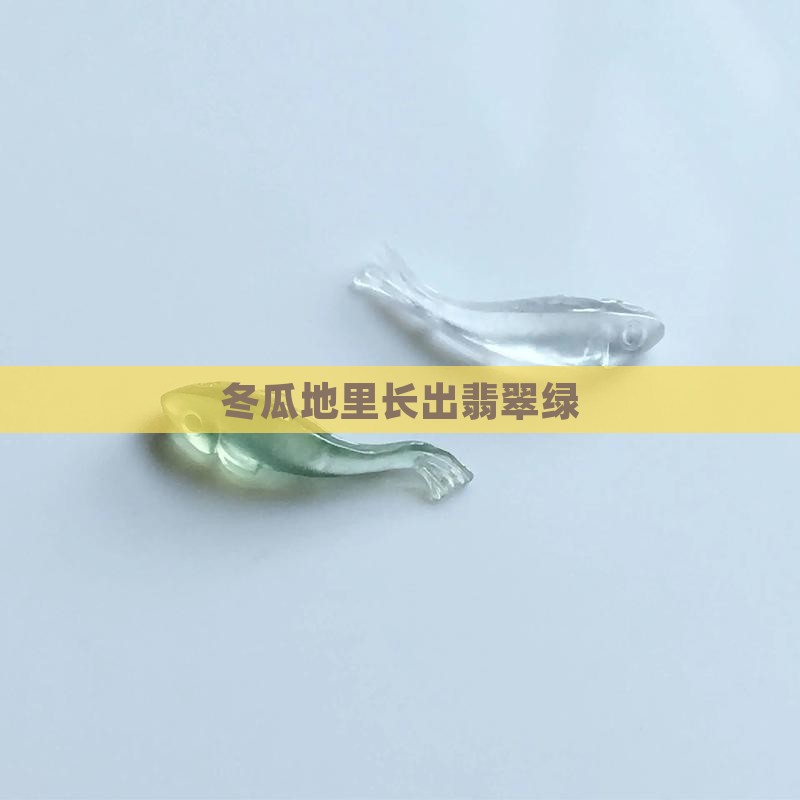 冬瓜地里长出翡翠绿