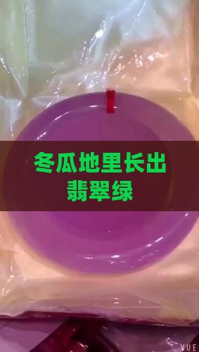 冬瓜地里长出翡翠绿