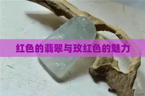 红色的翡翠与玫红色的魅力