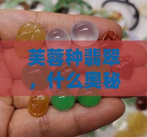 芙蓉种翡翠，什么奥秘藏其中