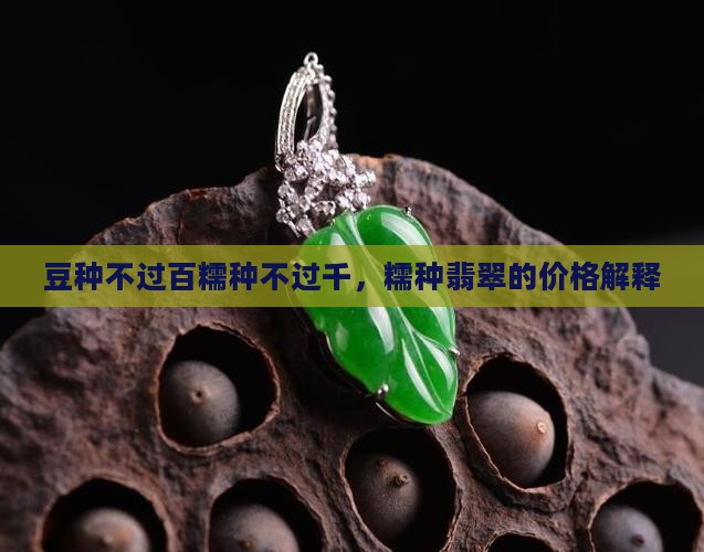 豆种不过百糯种不过千，糯种翡翠的价格解释