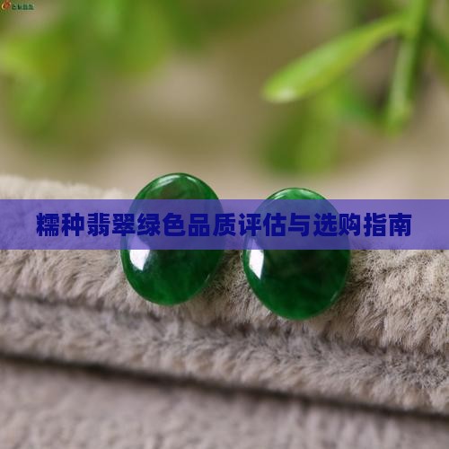 糯种翡翠绿色品质评估与选购指南 糯种翡翠绿色品质评估与选购指南