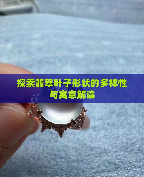 探索翡翠叶子形状的多样性与寓意解读