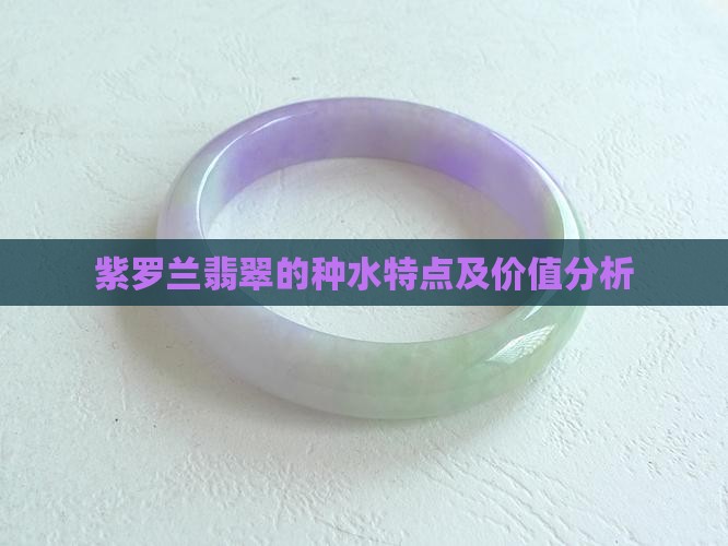 紫罗兰翡翠的种水特点及价值分析