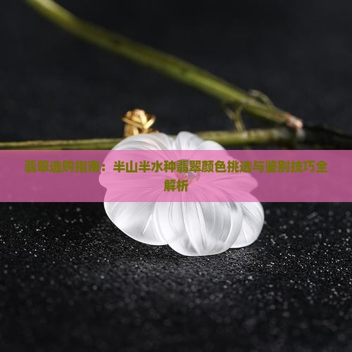 翡翠选购指南：半山半水种翡翠颜色挑选与鉴别技巧全解析