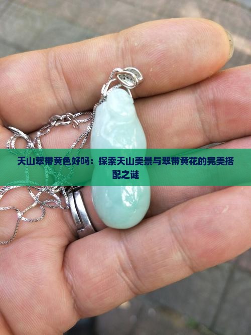 天山翠带黄色好吗：探索天山美景与翠带黄花的完美搭配之谜