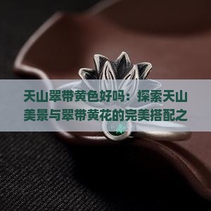 天山翠带黄色好吗：探索天山美景与翠带黄花的完美搭配之谜