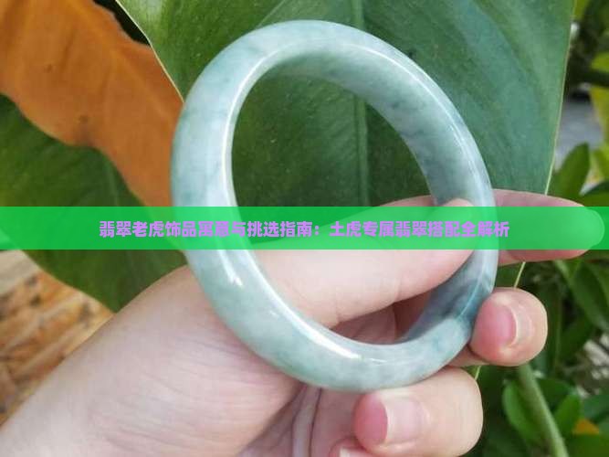 翡翠老虎饰品寓意与挑选指南：土虎专属翡翠搭配全解析