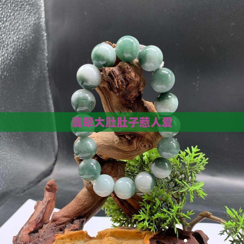 翡翠大肚肚子惹人爱