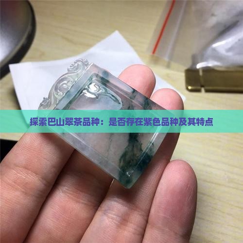 探索巴山翠茶品种：是否存在紫色品种及其特点