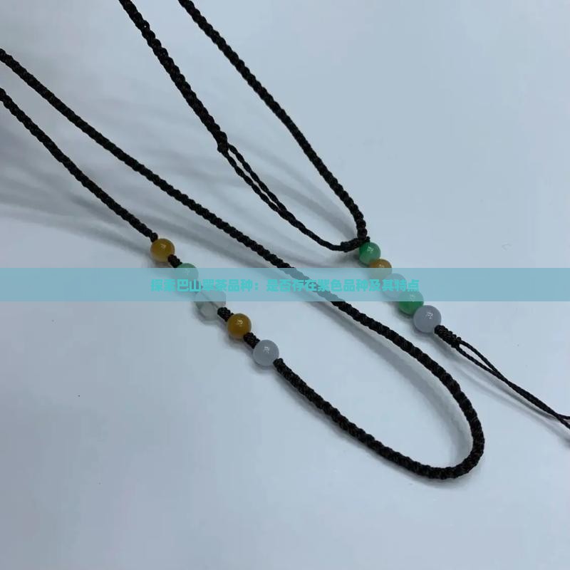 探索巴山翠茶品种：是否存在紫色品种及其特点