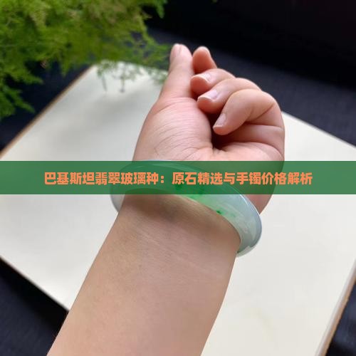 巴基斯坦翡翠玻璃种：原石精选与手镯价格解析