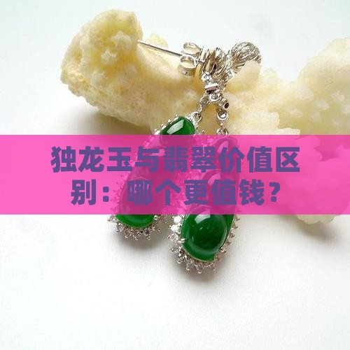 独龙玉与翡翠价值区别：哪个更值钱？
