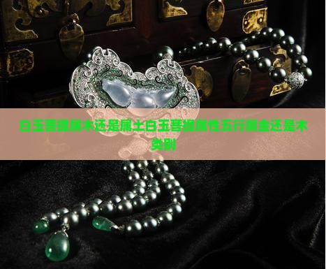 白玉菩提属木还是属土白玉菩提属性五行属金还是木类别