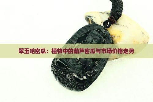 翠玉哈密瓜：植物中的葫芦密瓜与市场价格走势