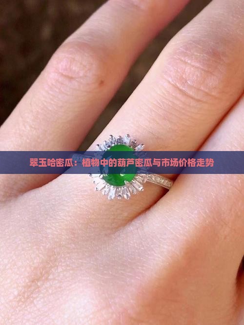 翠玉哈密瓜：植物中的葫芦密瓜与市场价格走势