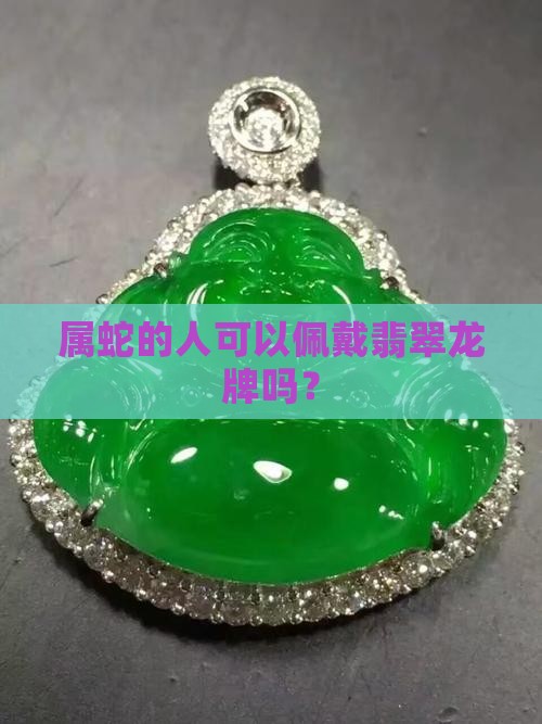 属蛇的人可以佩戴翡翠龙牌吗? 属蛇的人可以佩戴翡翠龙牌吗?