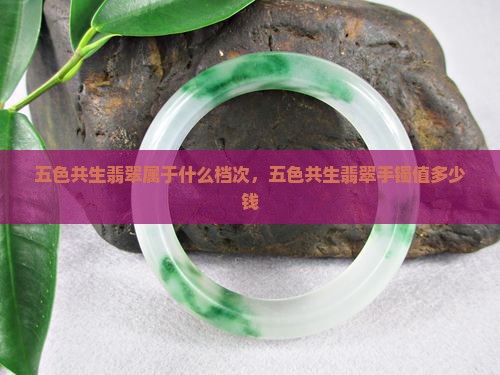 五色共生翡翠属于什么档次，五色共生翡翠手镯值多少钱