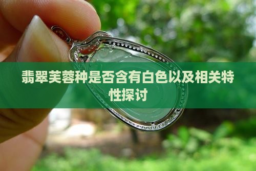翡翠芙蓉种是否含有白色以及相关特性探讨