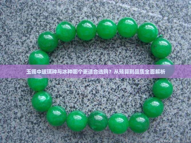 玉镯中玻璃种与冰种哪个更适合选购？从预算到品质全面解析