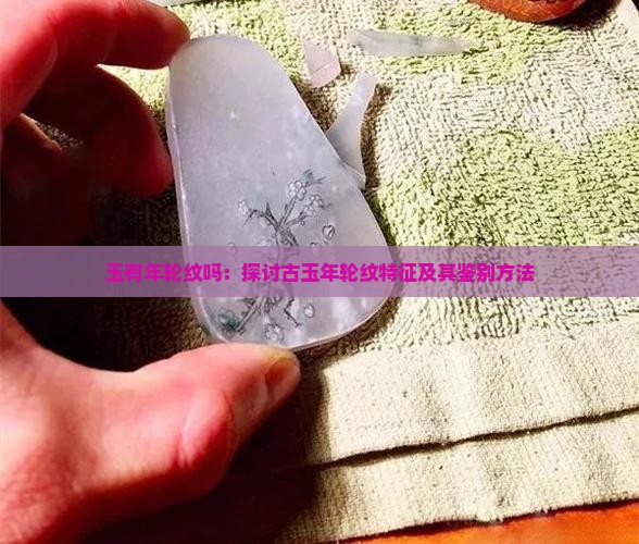 玉有年轮纹吗：探讨古玉年轮纹特征及其鉴别方法