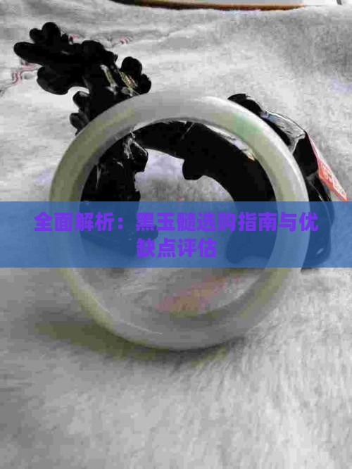 全面解析：黑玉髓选购指南与优缺点评估